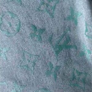 Louis Vuitton Teal Monogram Scarf